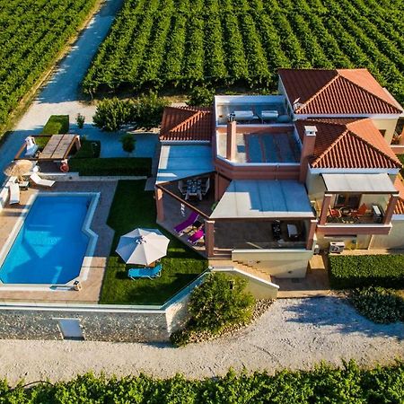 Cretan Vineyard Hill Villa Kato Kalesia Exterior photo